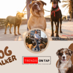 Dog Walker Job Offer