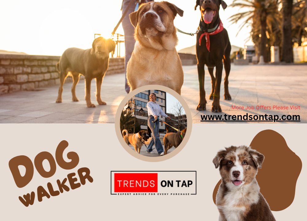 Dog Walker Job Offer